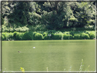 foto Lago di Terlago